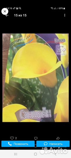 Цветы многолетние садовые