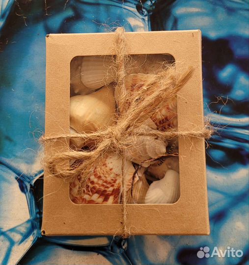 Ракушка подарочный набор