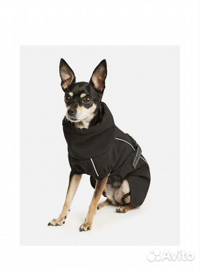 Попона-дождевик