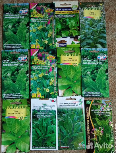 Семена табака