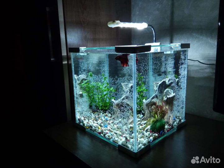 Кубические аквариумы Нано Куб NanoKube