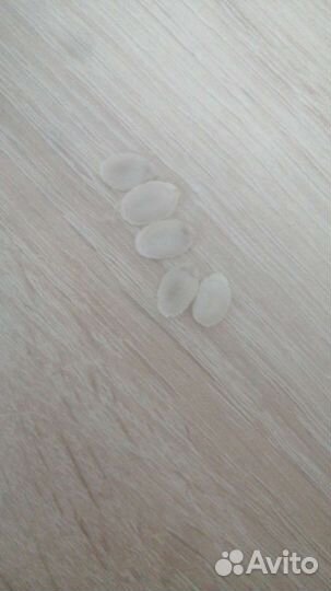 Люффа семена