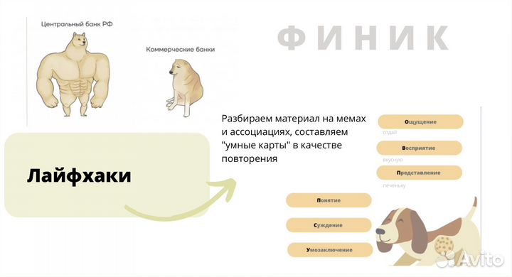 Репетитор по обществознанию егэ