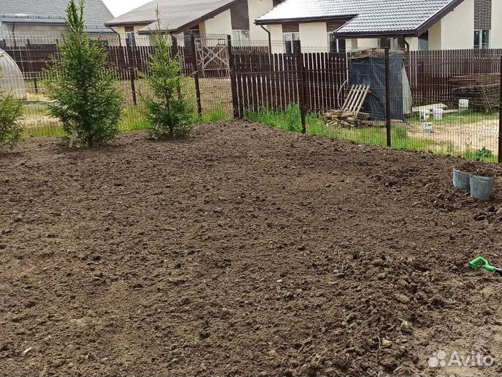 Посев газонной травы