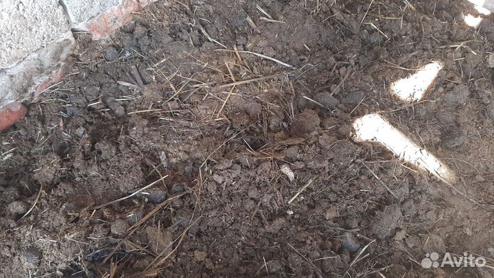 Конский навоз с доставкой