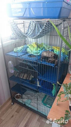 Клетка Credo d801