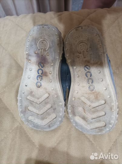 Ботинки ecco детские 22