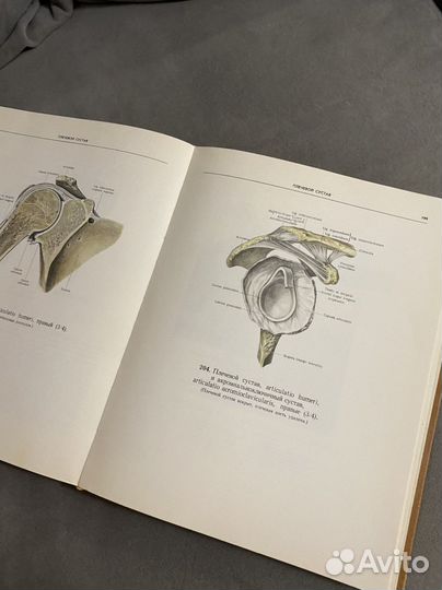 Атлас по анатомии Синельников