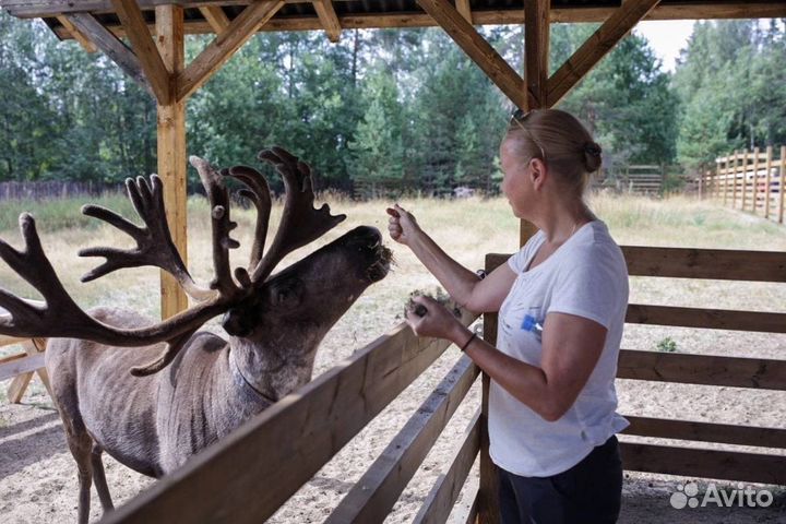 Путешествие в Карелию на 2 дня