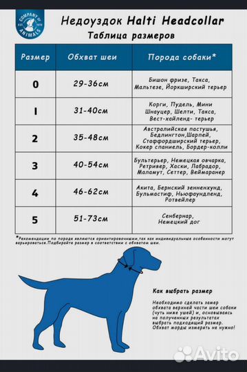 Halti недоуздок для собаки, намордник
