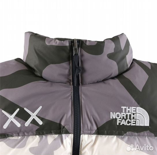 Пуховик мужской The North Face 700