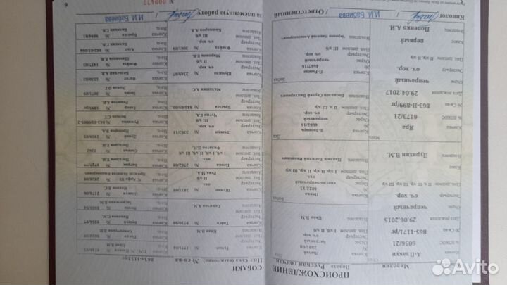 Щенки русской гончей