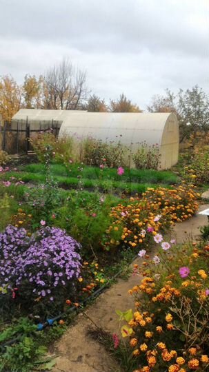 Дача 50 м² на участке 8 сот.