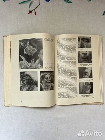 М. Ц. Рабинович Пластическая анатомия человека, че