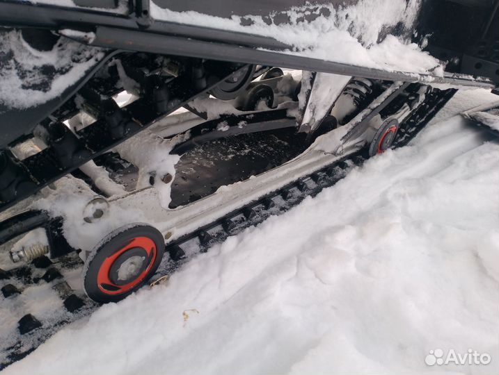 Продам тайга варяг v