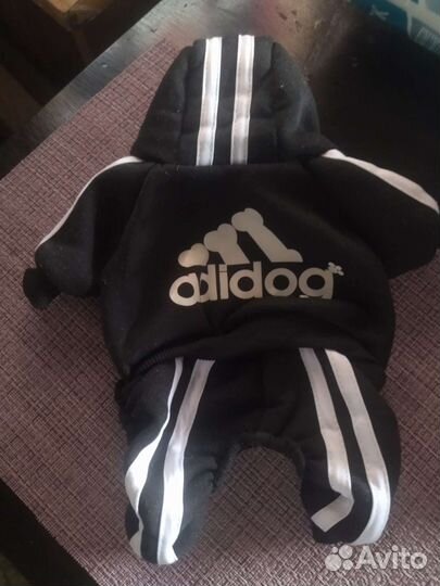 Одежда для маленьких собак