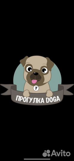 Передержка собак в домашних условиях