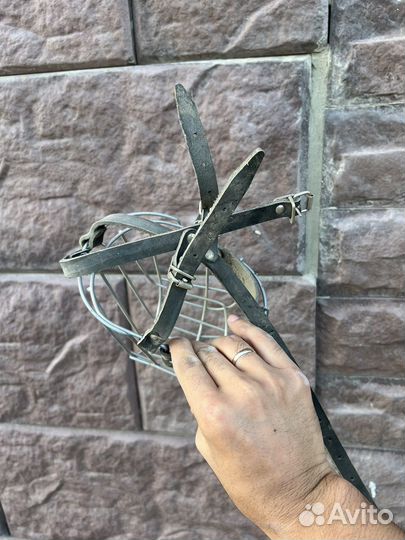 Намордник для собак