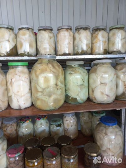 Грузди соленые