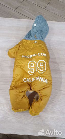 Одежда для собак мелких пород