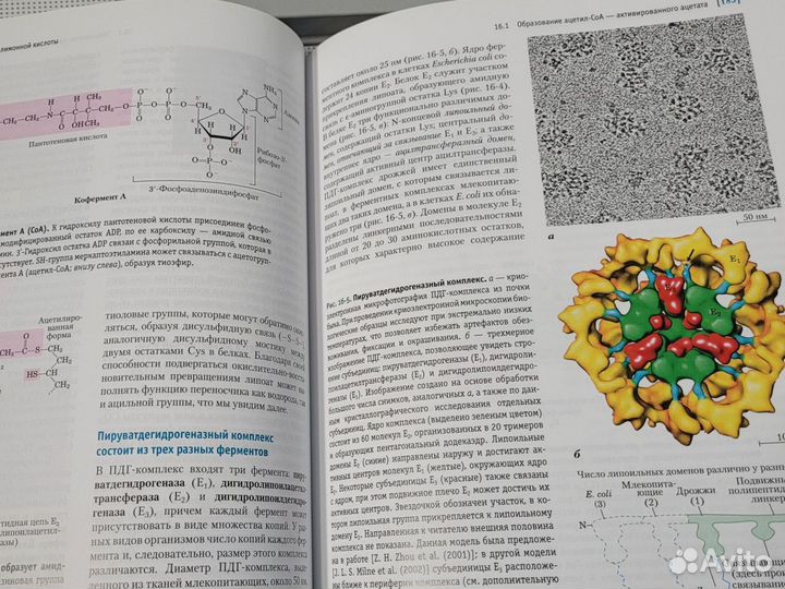 Биохимия Ленинджер 3 том