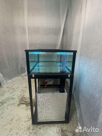 Аквариум для устриц в наличии