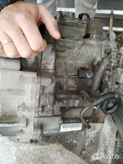 АКПП вариатор honda fit