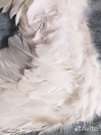 Крылья из перьев