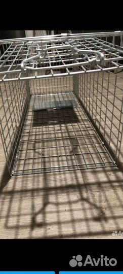 Котоловка (кошколовка) аренда