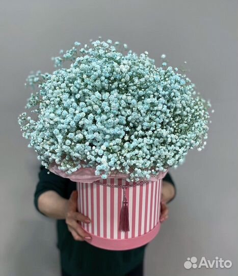 Огромные букеты из гипсофилы