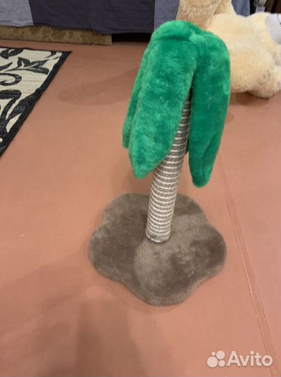 Когтеточка, домик