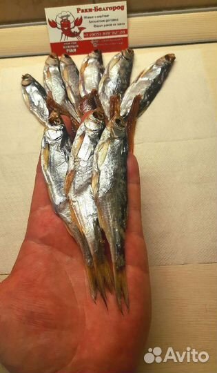 Рыбные семечки Уклейка вяленая Воронеж