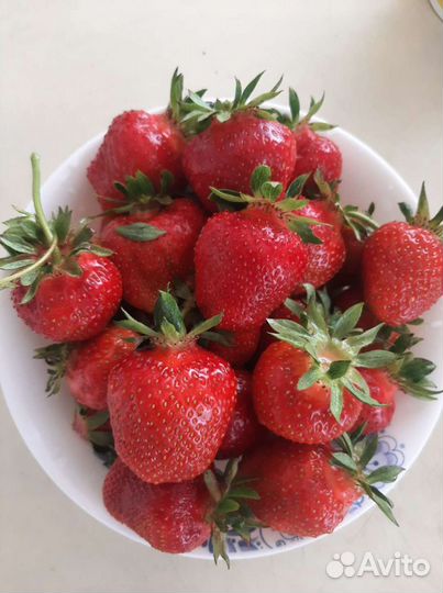 Клубника