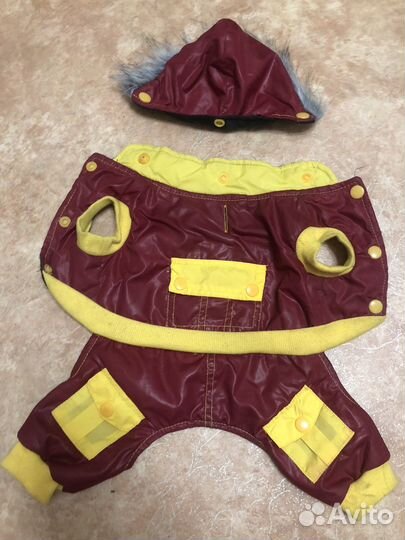 Одежда для собак