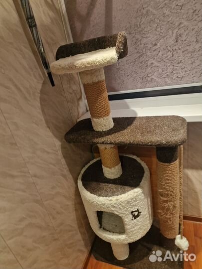 Кошачий Домик