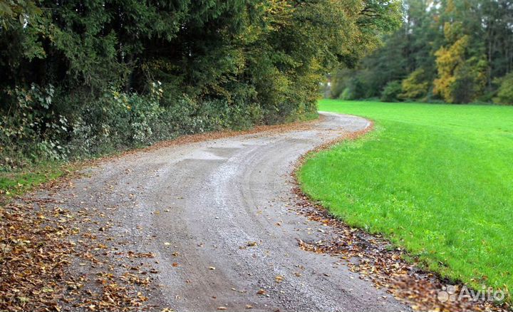 Семена газонной травы