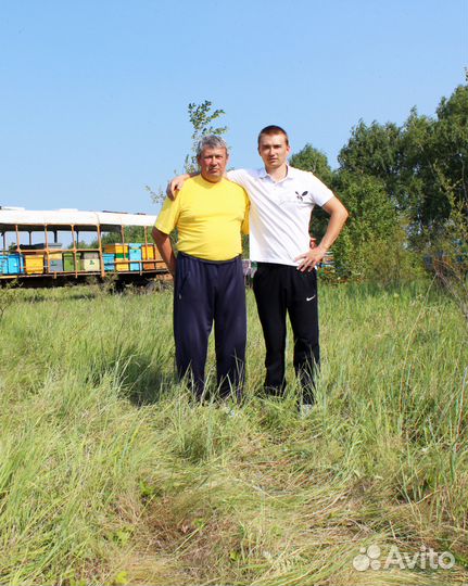 Мёд оптом, своя пасека, все документы, от 1кг