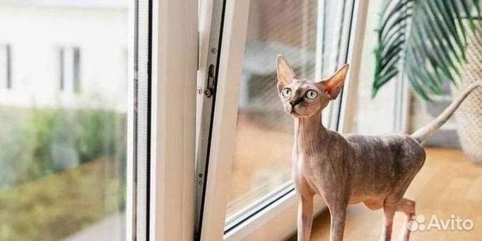 Остекление балкона