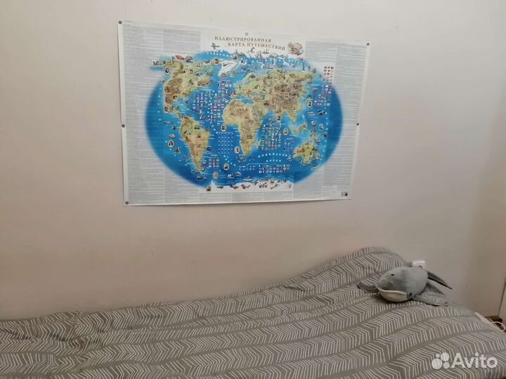 Карта мира географическая с описанием
