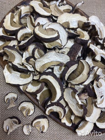 Грибы Лисички Белый гриб