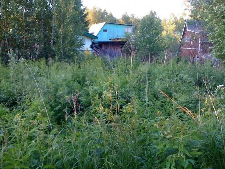 Участок 10 сот. (ИЖС)