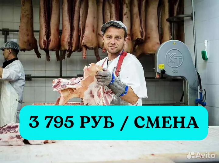 Жиловщик мяса. Вахта питание проезд