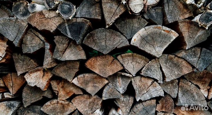 Дрова Береза