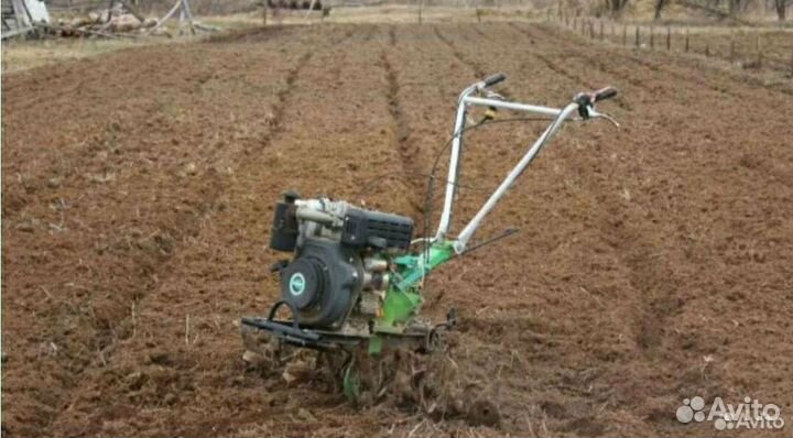 Услуги в саду и огороде