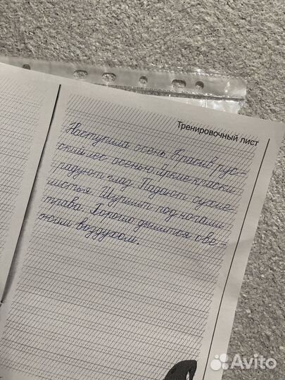 Каллиграфия/репетитор