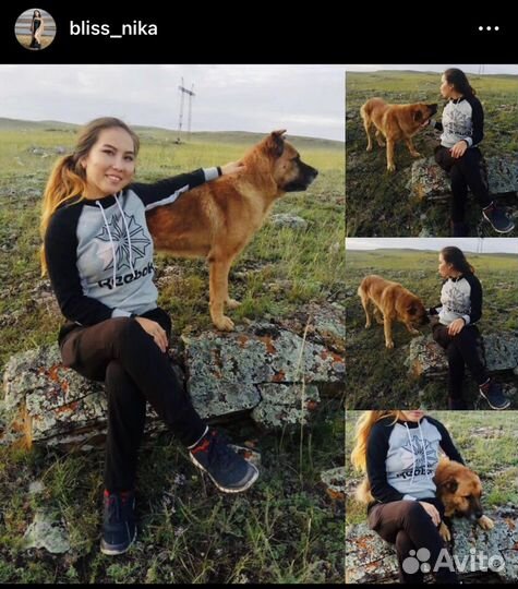 Выгул собак