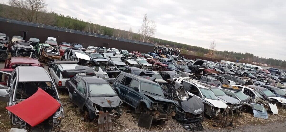 склад под кузовные запчасти. разборки иномарок в воронеже. авторазборка калач. авторазборка воронеж. разборки иномарок в воронеже.