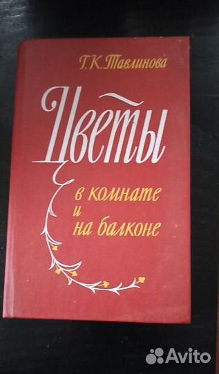 Цветы в комнате и на балконе. Тавлинова