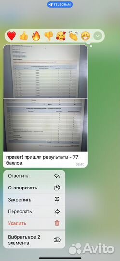 Репетитор по истории и обществознанию