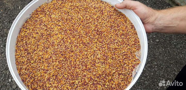 Пыльца пчелиная 2023